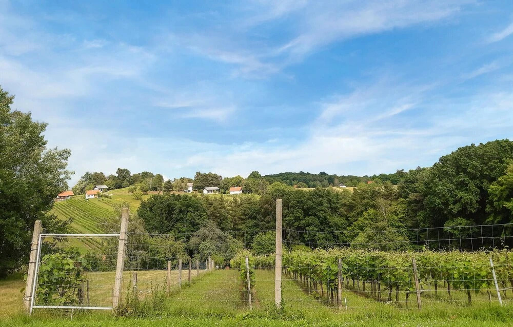 Ferienhaus Im Suedburgenland