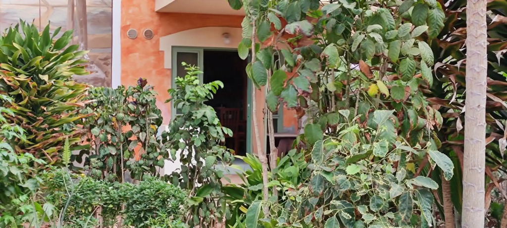 Sal Service djasal residence with pool