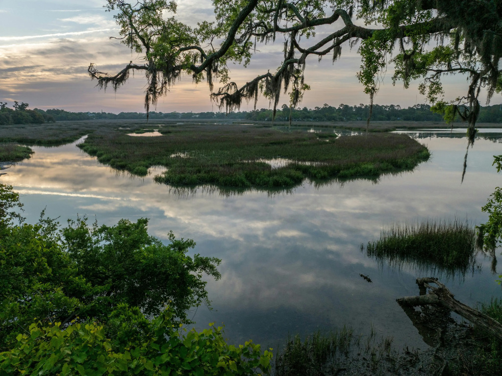 Hampton Inn Beaufort