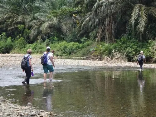Sumatra Rainforest Eco Retreat