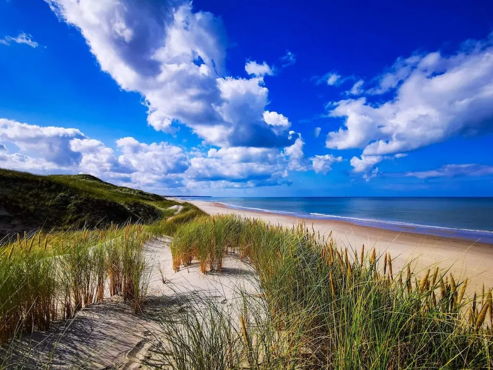 4 Star Holiday Home in Hirtshals