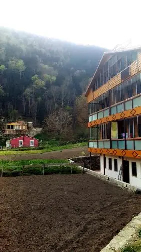 Talipoğlu Apart