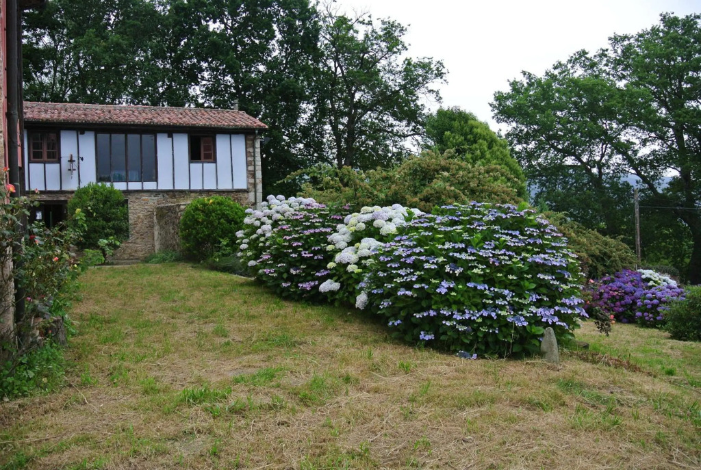 Hotel Rural El Algaire