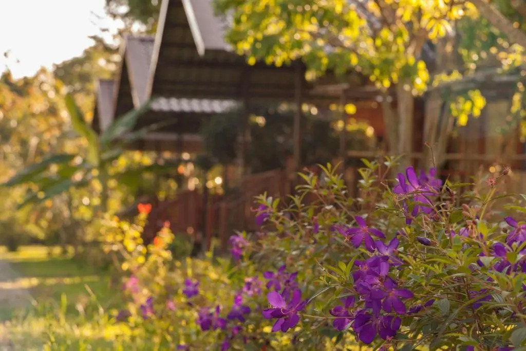 Chiang Dao Reset