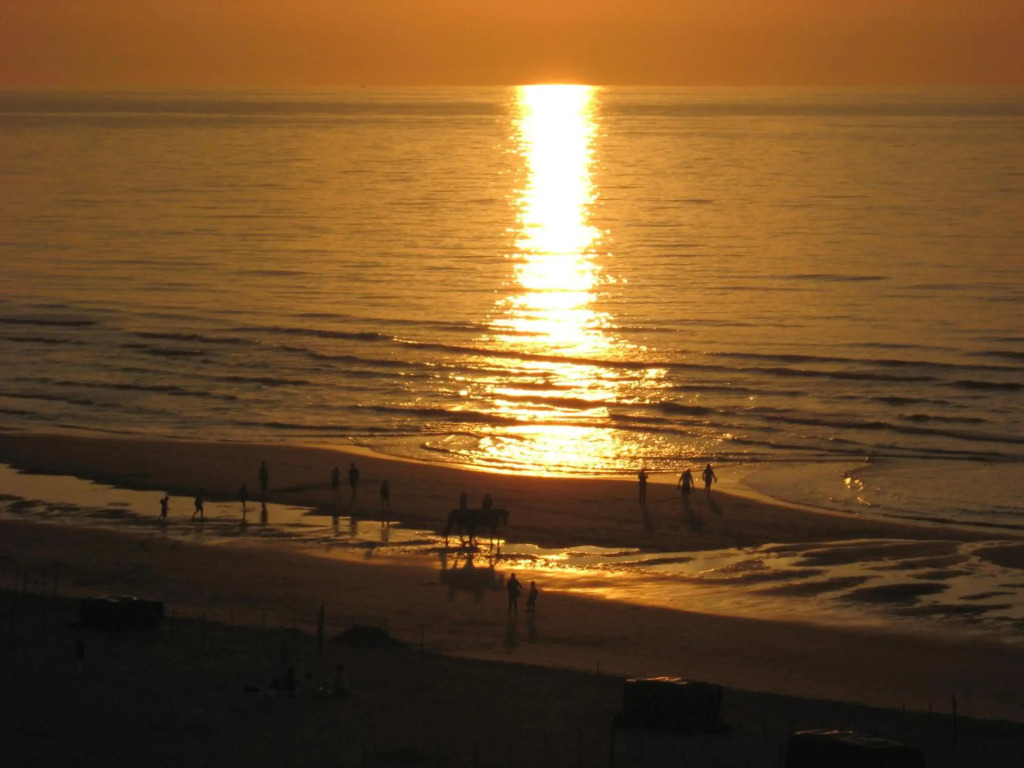 Appartement sur la digue - De Haan - Le Coq - Silver Beach