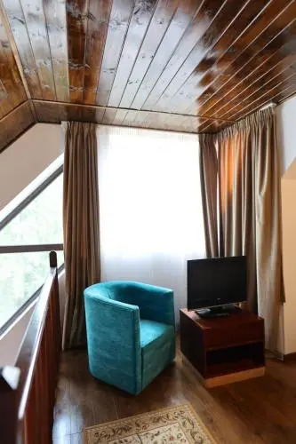 Vila Pinul si Mesteacanul