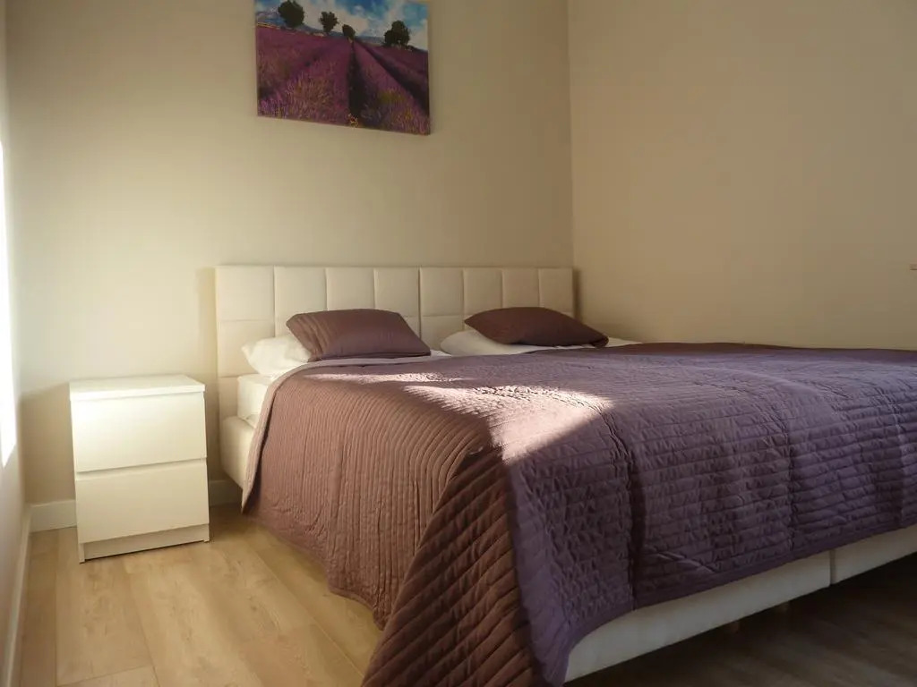 Apartament Zebra