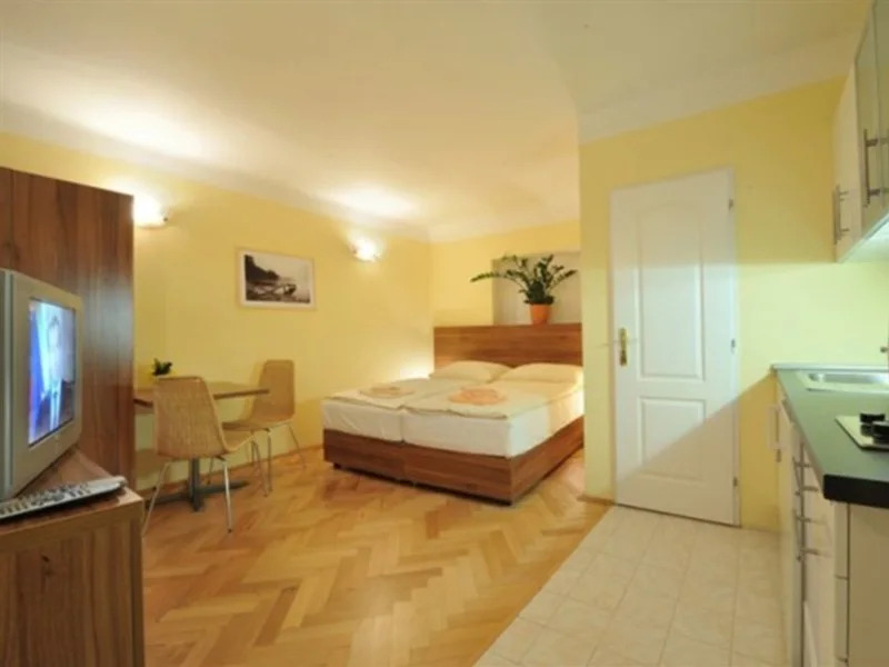 U Zlate Podkovy Apartments