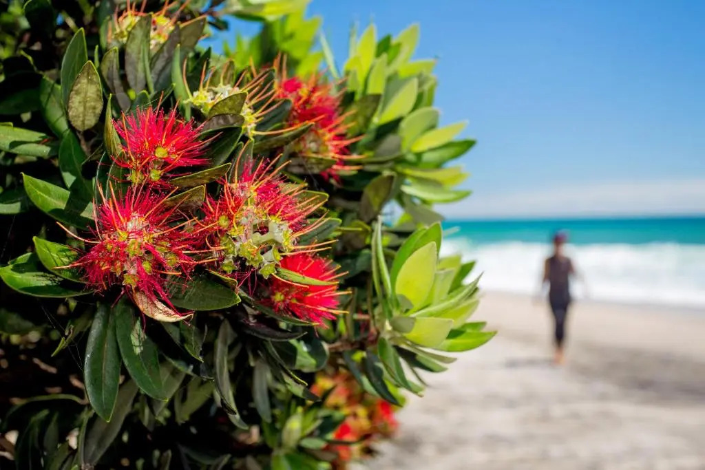 Tasman Holiday Parks - Beachaven