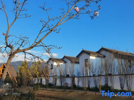 Tianmu Anqing Hot Spring Villa