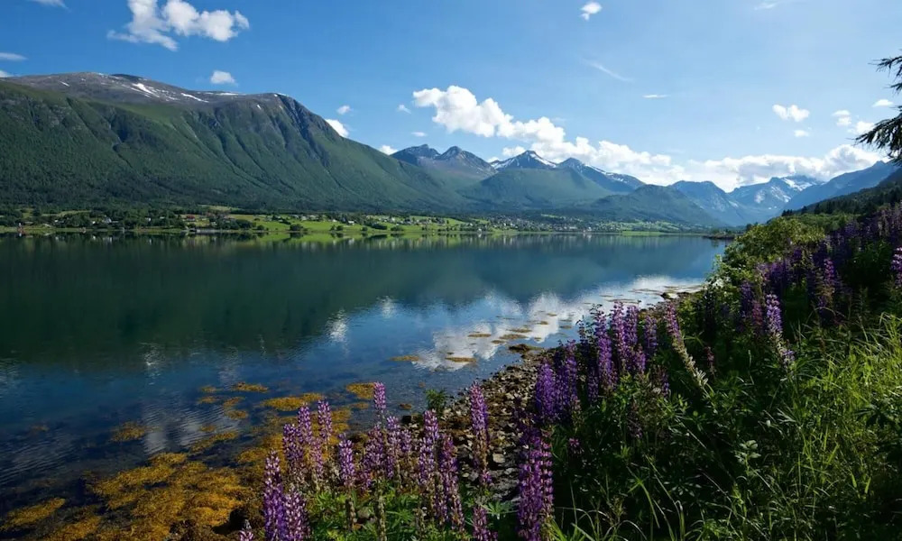 Isfjorden Turisthotell & motell