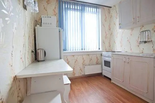 Nsk Flat Apartments Lenina Street Area