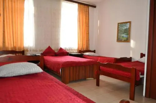 Guest House ARK