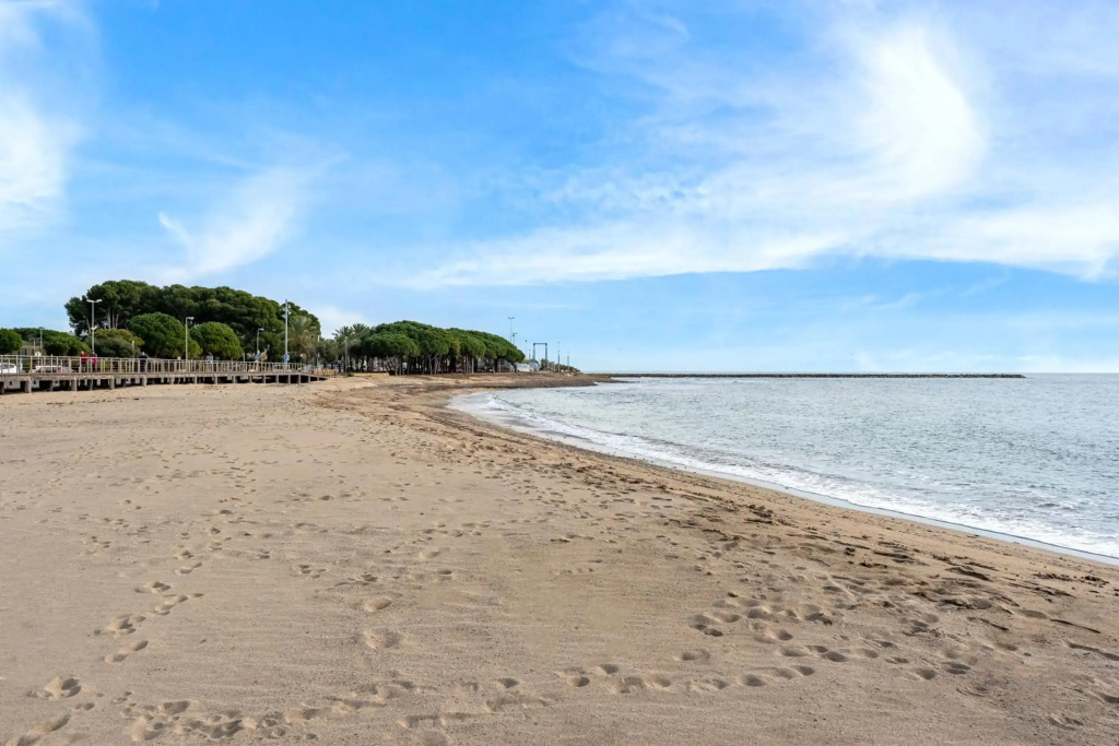 Apartment in front of the Beach