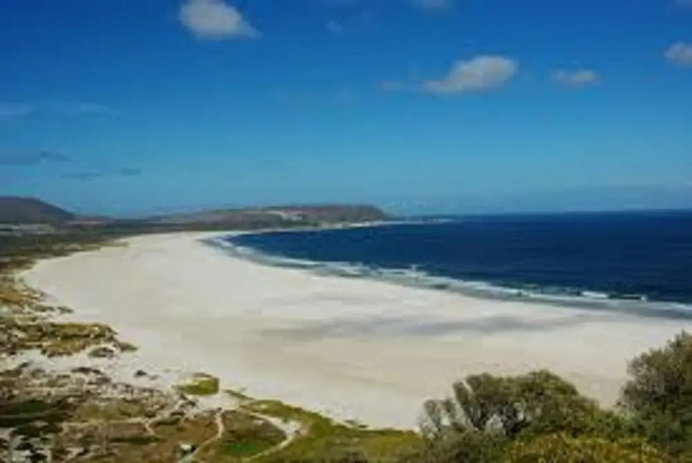 Bermuda Capri Cape Town