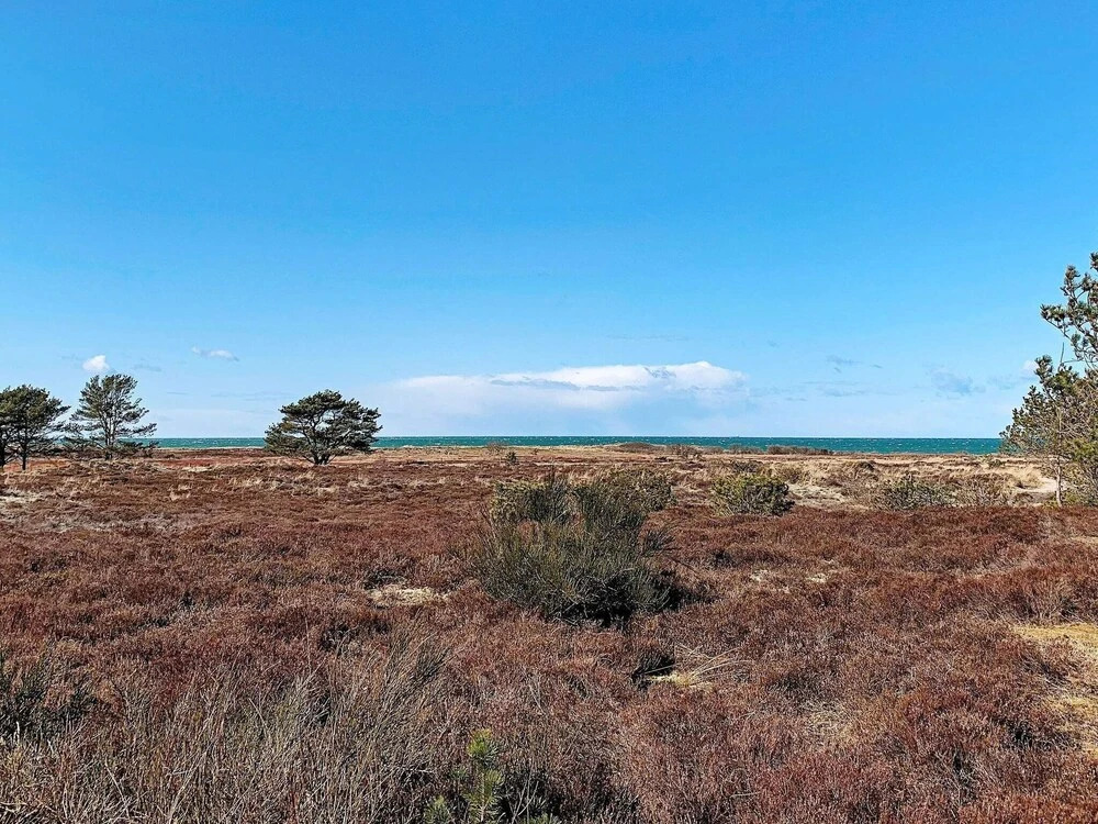 Secluded Holiday Home in Nordjylland Near the Sea