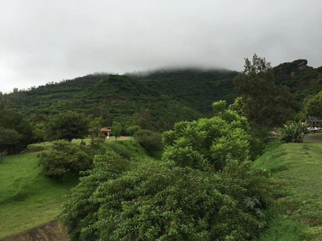 Hotel Fuerte Real