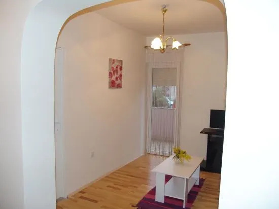 Apartment Viki
