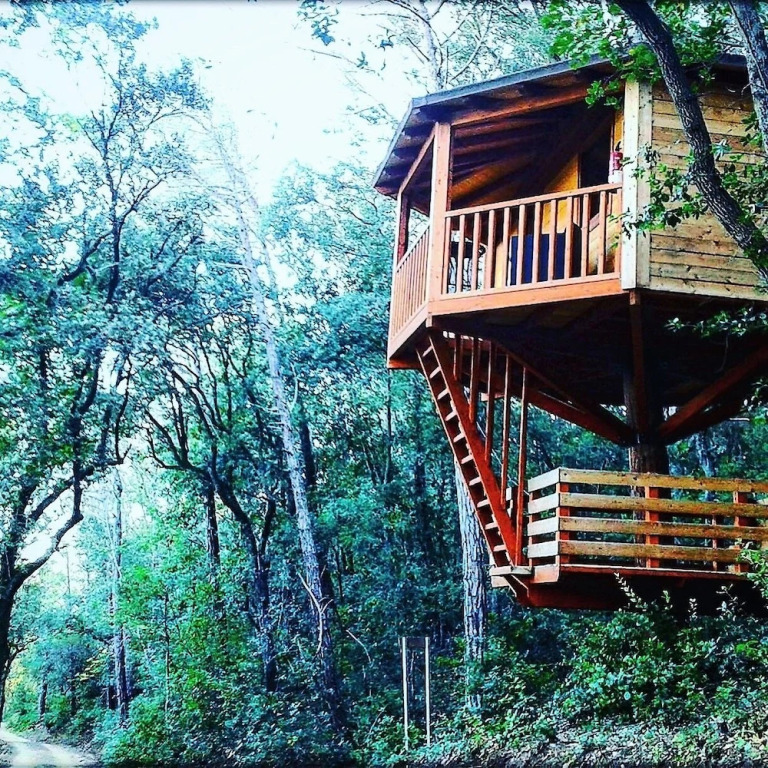 Cabanes Dosrius