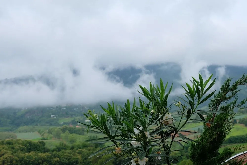 Chochao Khao Kho