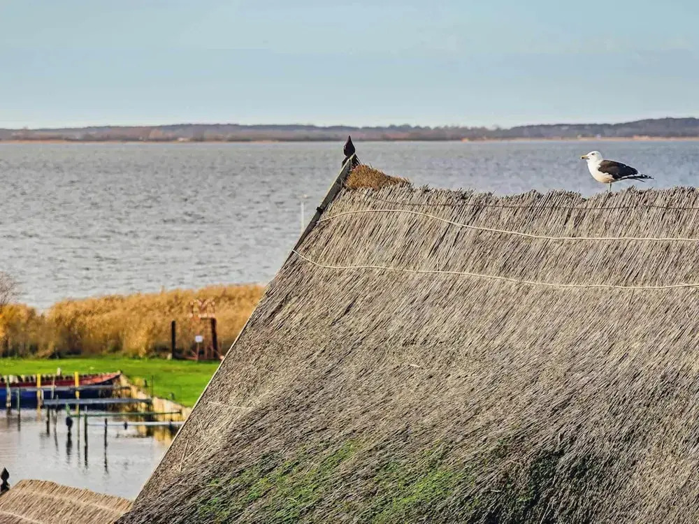 Aquarius Ferienwohnungen Usedom