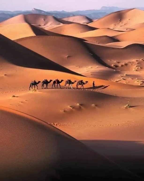Erg Chebbi Dunes Desert Camp