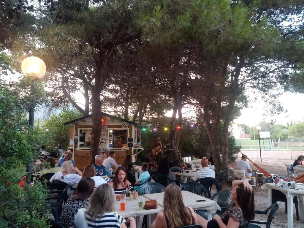 Jungle House - Pineta Is Morus