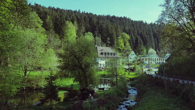 Gut Lauterbad Hotel