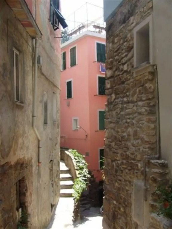 The Sea Terrace Vernazza