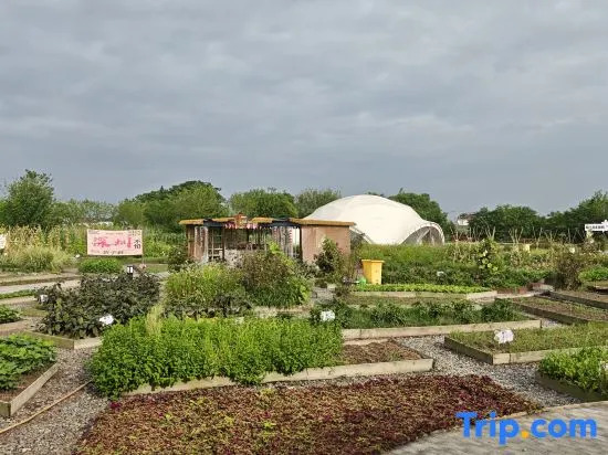 Mangdao Tianyuan Resort Guesthouse