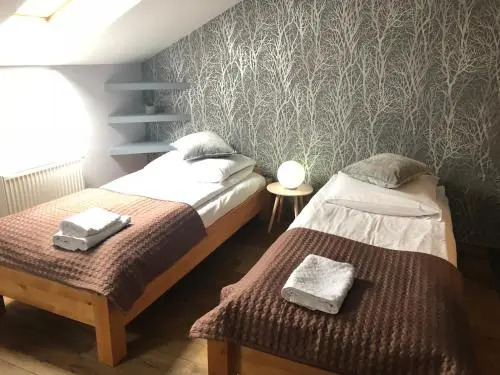 Sokół