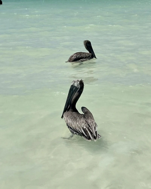 Hotel and Beach Club Escape Holbox