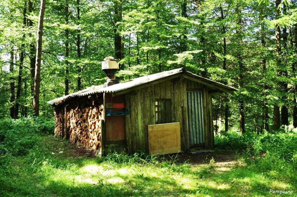 Casa Martiko