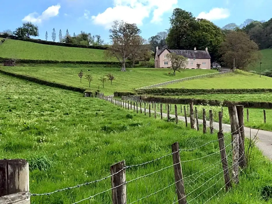 Walnut Tree Farm