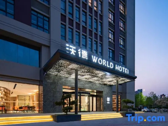 World Hotel (Zhengzhou University Hi-tech Campus)