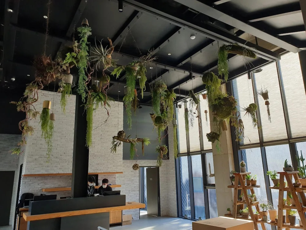 Junibino Hotel Hongdae