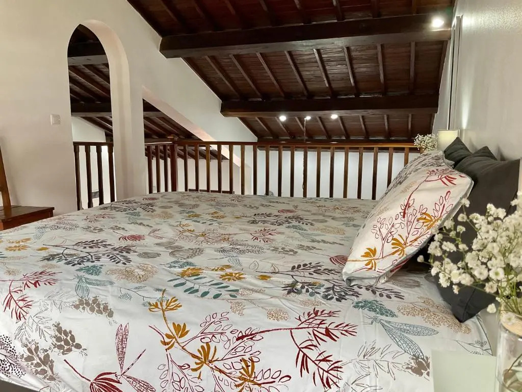 Super Mário Houses - Casa dos Moinhos