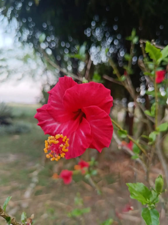 Vanasthali Jungle Resort Jim Corbett