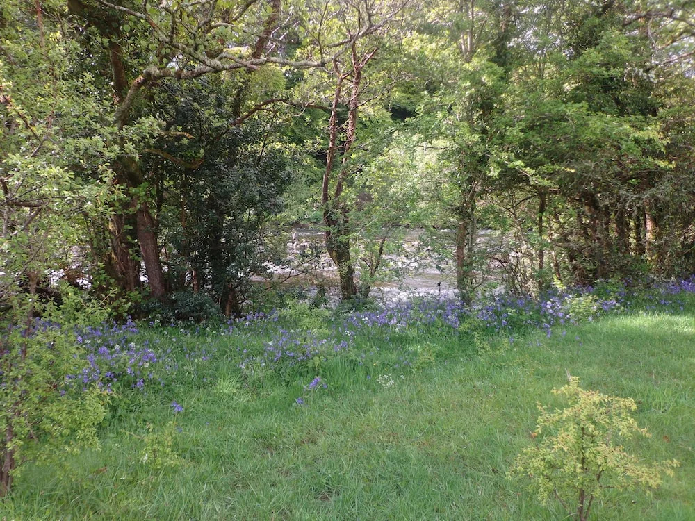 Killarney Glamping at the Grove, Suites and Lodges