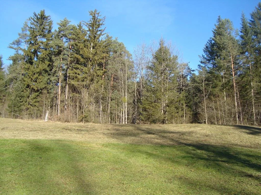 Ferienhaus Waldbankerl