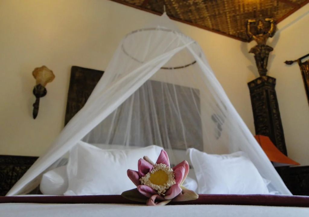 Bopha Angkor Hotel