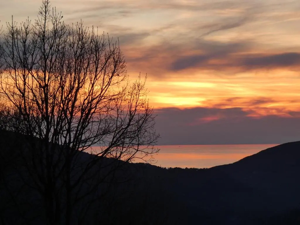 Il Laghello Wood House