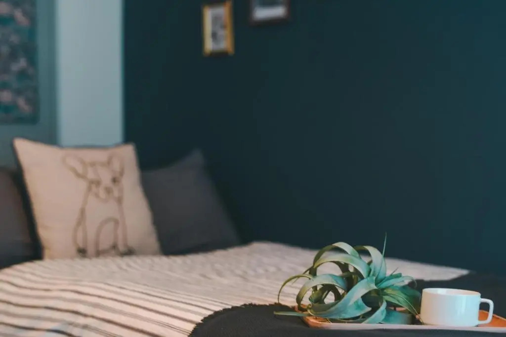 Florish 67 - Vacation STAY 15424v