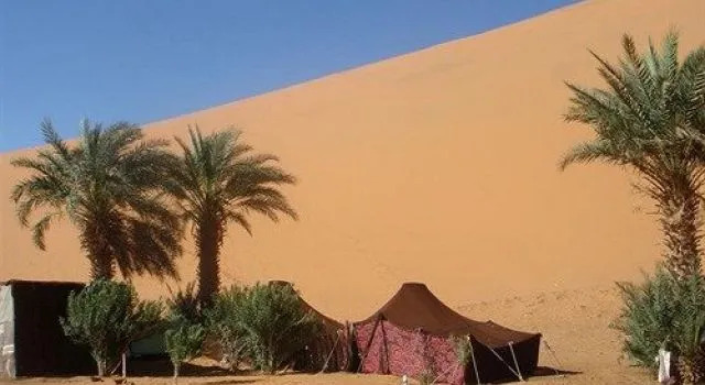 Camel Safari Camp