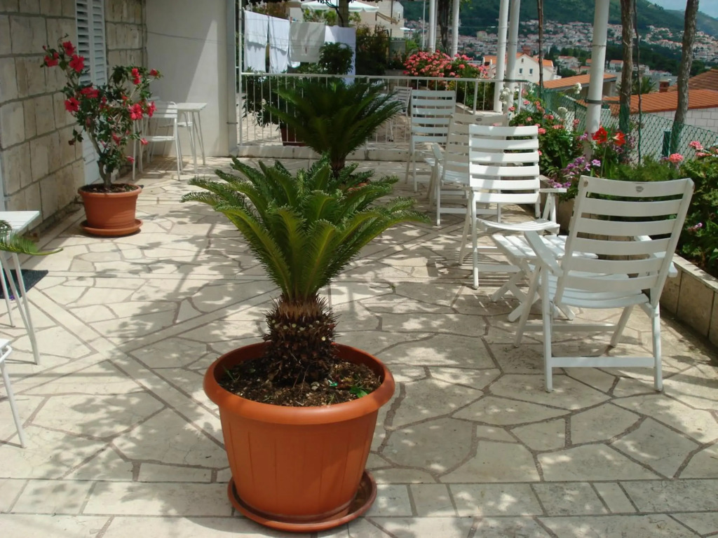Rooms and Apartment Nike
