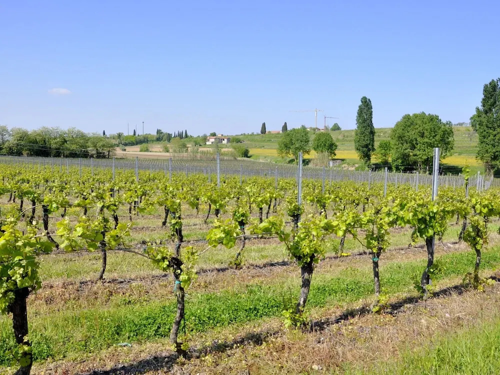 Holiday Home in Lazise Near Lake Garda
