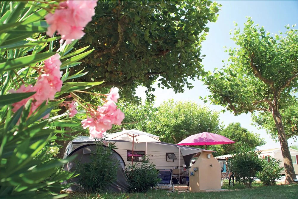 Camping La Pinède