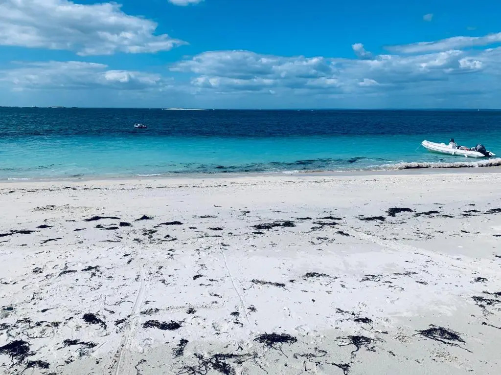 Appartement 2 Pièces Rez de Jardin / Terrasse Proche Gare et Hyper Centre