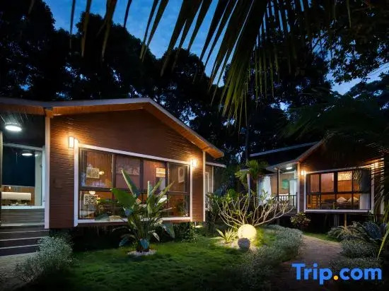 The Forest B&Bs
