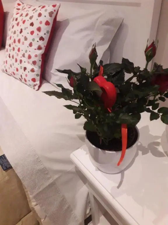 Reggiolacittàinvisibile B&B